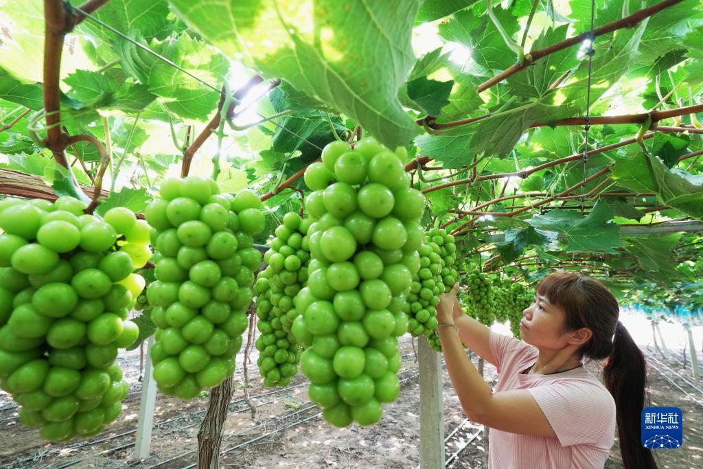 充值返利平台