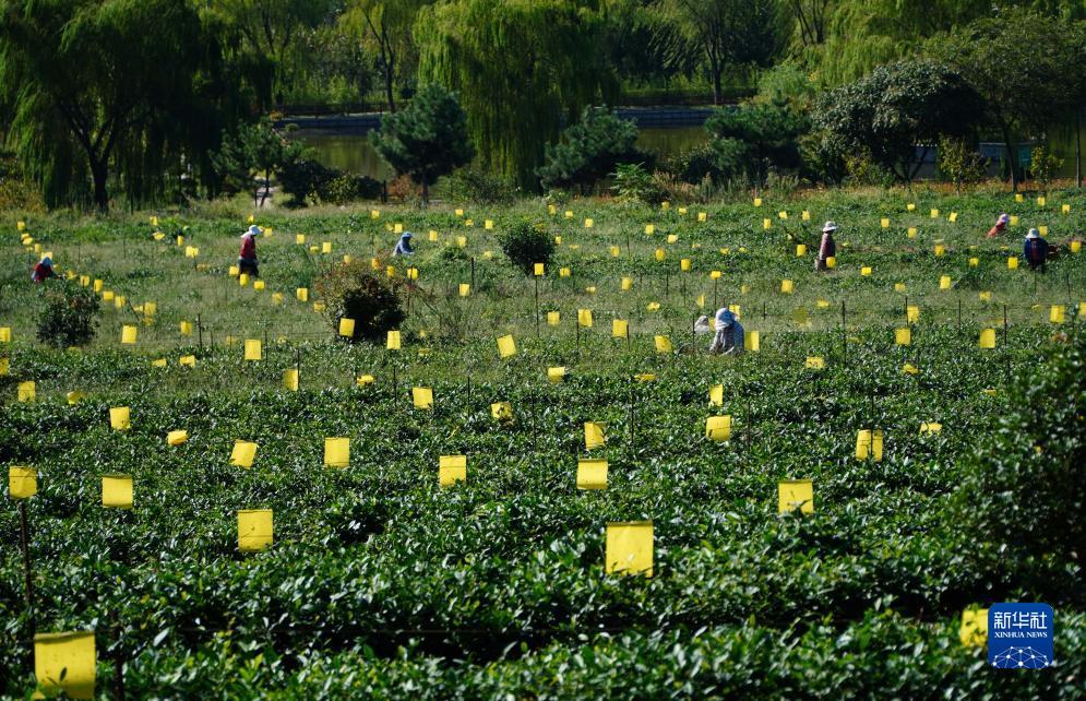 博狗在线平台
